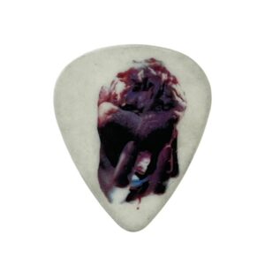 Jerry Cantrell Alice In Chains Guitar Pick Black Gives Way To Blue Tour