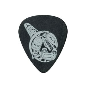 Jerry Cantrell Alice In Chains Stage-Used Guitar Pick – Rainier Fog Tour