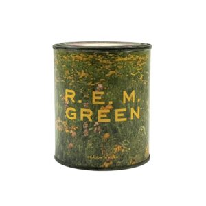 R.E.M. Rare 1988 Warner Bros. Records Prop Promo Meadow In A Can