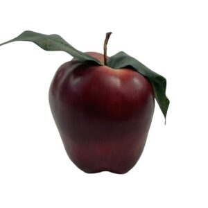 Fiona Apple Rare Promo Prop Replica Apple Tidal Album Promotional