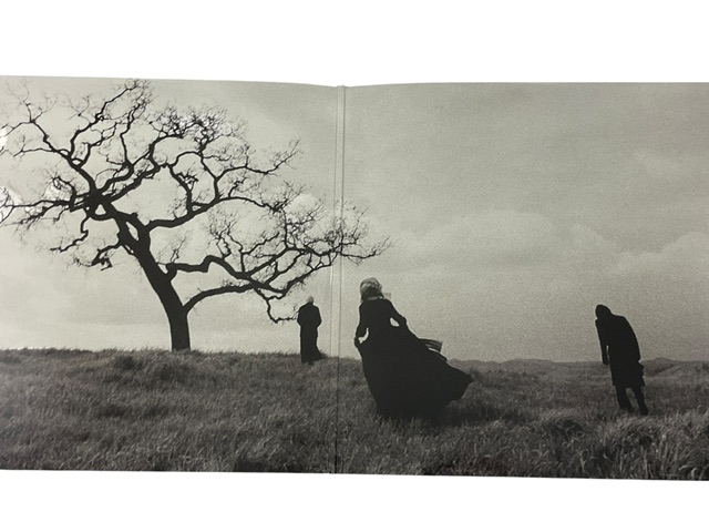 The Smashing Pumpkins Billy Corgan Signed Adore Gray Marble Vinyl - Image 3