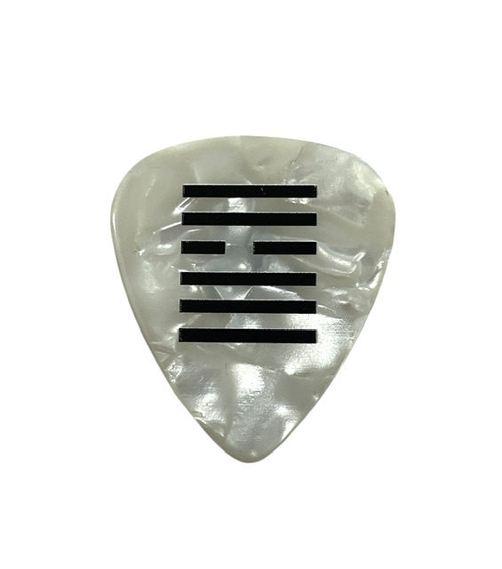 Jelly Roll Rare Authentic Tour Concert Issued Guitar Pick 🎸 - Image 2