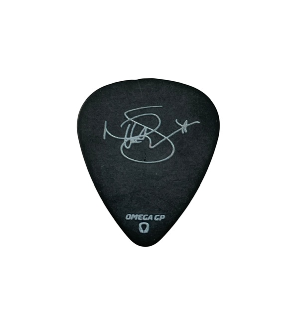 Nita Strauss Tour Concert Issued Guitar Pick Authentic 🎸 - Image 2