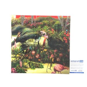 Rival Sons Autographed Feral Roots Vinyl Album Record COA 🎸