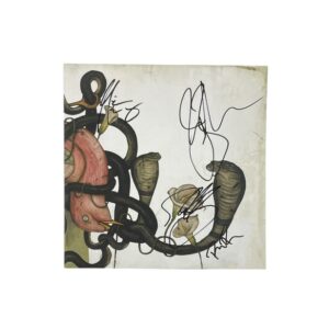 Rival Sons Autographed Head Down Vinyl Album All 4 Members COA