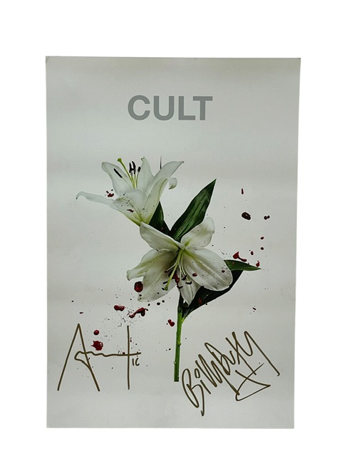 The Cult Signed Tour Poster Alive In The Hidden City Ian Astbury Billy Duffy