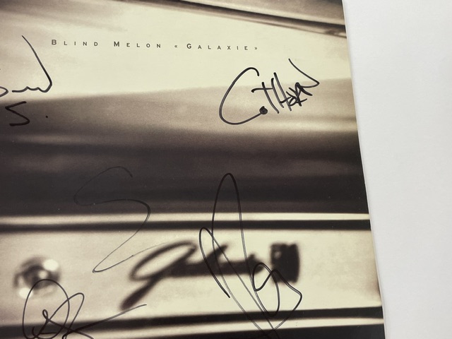 Blind Melon Rare Band Signed 10” Vinyl Galaxie Shannon Hoon JSA - Image 7